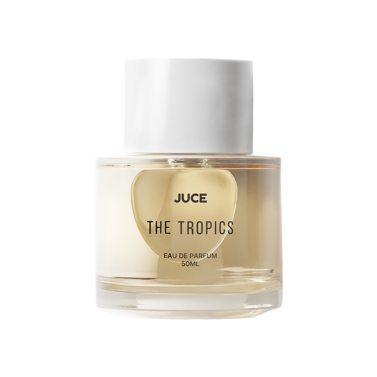 The Tropics
